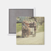 Blume Magnet (Vorderseite/Rückseite)