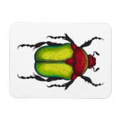 Blume Magnet (Horizontal)