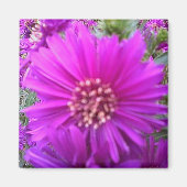 Blume-Magnet Magnet (Vorne)