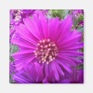 Blume-Magnet Magnet
