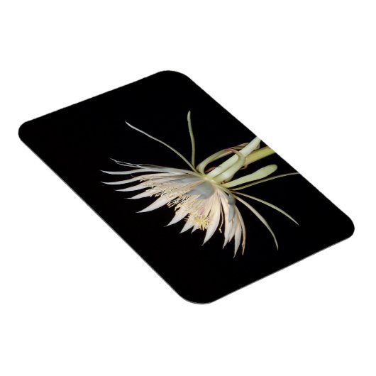 Blume-Magnet Magnet (Rechte Seite)