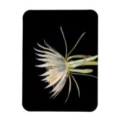 Blume-Magnet Magnet (Vertikal)