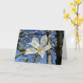 Blume Magnolia Karte (Gelbe Blume)