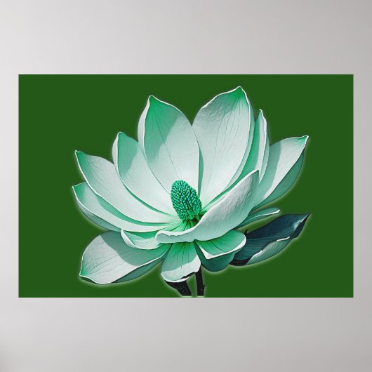 Blume Magnolia Poster (Vorne)