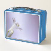 Blume Makro Blossom Bloom Petals Copy Space Metall Brotdose (Rückseite)