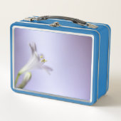 Blume Makro Blossom Bloom Petals Copy Space Metall Brotdose (Vorderseite)