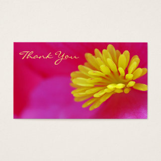 Blume Makro Vielen Dank