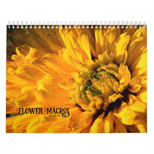 Blume Makros-Kalender Kalender (Titelbild)