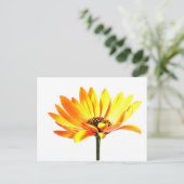 Blume Margurit Postkarte (Stehend Vorderseite)