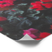 Blume, Markttag, Aix-en-Provence Poster (Ecke)