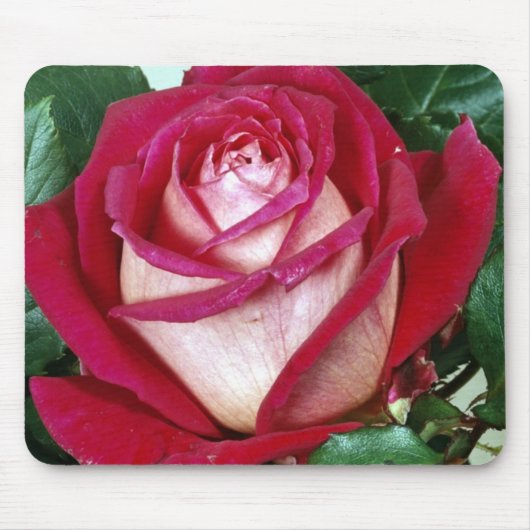 Blume Maus-Pad Mousepad (Vorne)