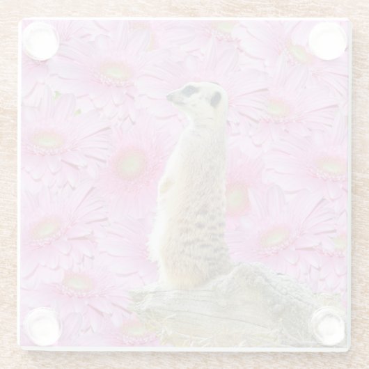 Blume Meerkat und Pink Gerbera, Glasuntersetzer (Rückseite)