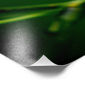 Blume Mimosa Fotodruck (Ecke)