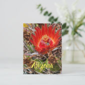 Blume mit Biene, Arizona Postkarte (Stehend Vorderseite)