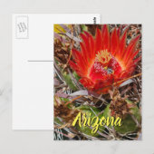 Blume mit Biene, Arizona Postkarte (Vorne/Hinten)