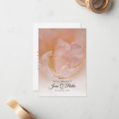 Blume mit blass rosa Rose teilt eine Gedächtnisbee Mitteilungskarte (Vorderseite/Rückseite Beispiel)