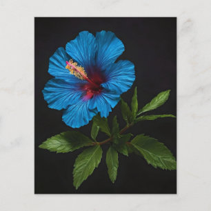 Blume mit blauem Hibiskus auf Schwarz, Flyer