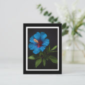Blume mit blauem Hibiskus auf Schwarz, Postkarte (Stehend Vorderseite)