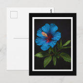 Blume mit blauem Hibiskus auf Schwarz, Postkarte (Vorne/Hinten)