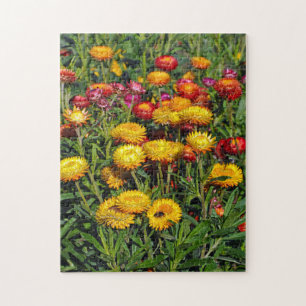 Blume mit den roten und gelben Tasten Puzzle