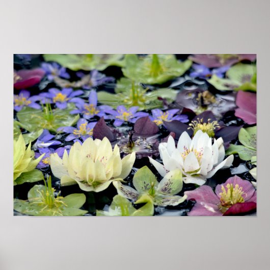 Blume mit farbigen Bohrlöchern Poster (Vorne)