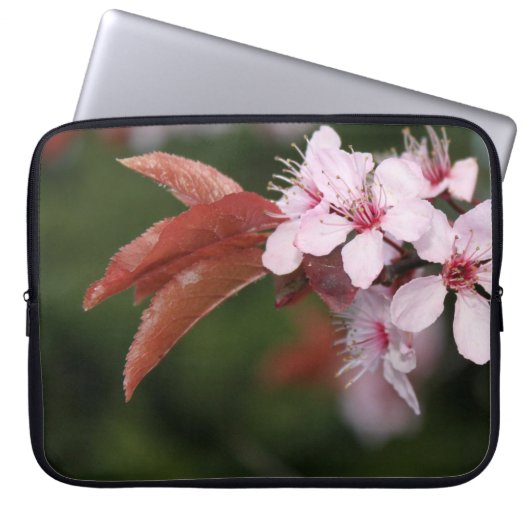 Blume mit Federlicht rosa Pollen Laptopschutzhülle (Vorderseite)