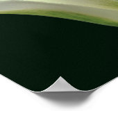 Blume mit grünem Strip Nah Poster (Ecke)