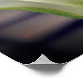 Blume mit grünem Strip Nah Poster (Ecke)