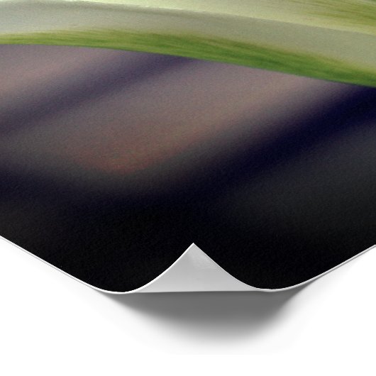 Blume mit grünem Strip Nah Poster (Ecke)