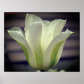 Blume mit grünem Strip Nah Poster (Vorne)