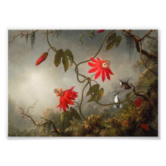 Blume mit Hummingbirds Heade Fotodruck (Vorne)