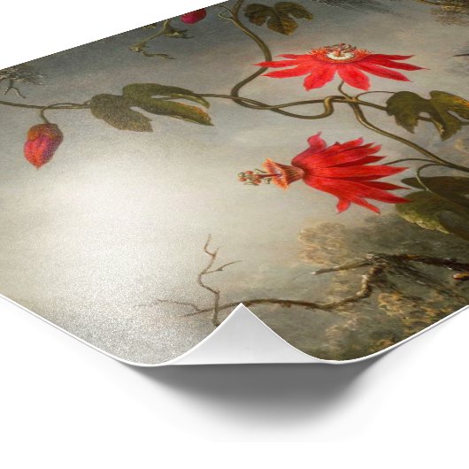 Blume mit Hummingbirds Heade Fotodruck (Ecke)
