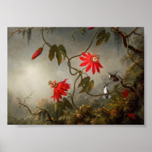 Blume mit Hummingbirds Heade Poster