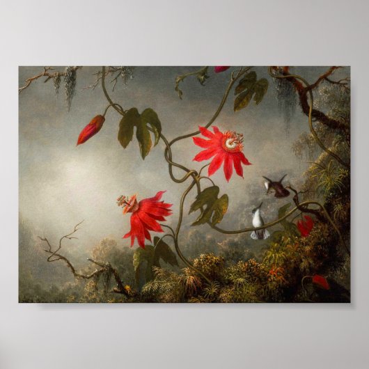 Blume mit Hummingbirds Heade Poster (Vorne)