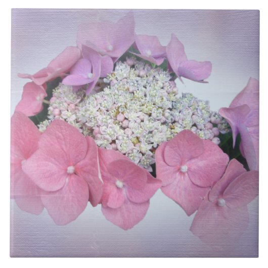 Blume mit Lila Spitzen-Cap Hydrangea Fliese (Vorderseite)