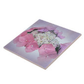 Blume mit Lila Spitzen-Cap Hydrangea Fliese (Seite)