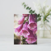 Blume mit markierten Zellen Postkarte (Stehend Vorderseite)