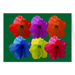 Blume mit mehreren farbigen Hibisken