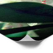 Blume mit Raindrops Poster (Ecke)