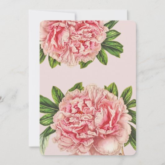 Blume mit rosa, blühenden  einladung (Rückseite)