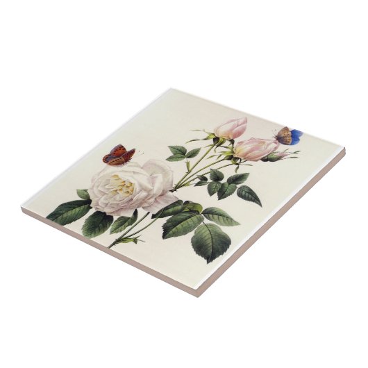 Blume mit Rosa, Pierre Joseph Redouté Fliese (Seite)