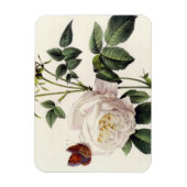 Blume mit Rosa, Pierre Joseph Redouté Magnet (Vertikal)