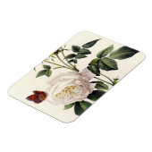Blume mit Rosa, Pierre Joseph Redouté Magnet (Linke Seite)