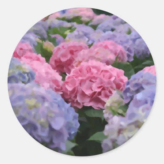 Blume mit rosa und blauem Hydrangea Runder Aufkleber (Vorderseite)