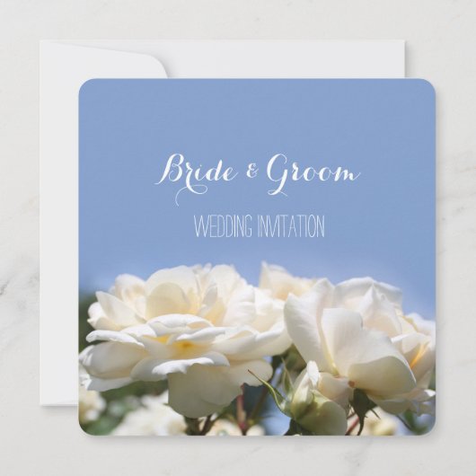 Blume mit Rosenblütenpracht Einladung (Rückseite)