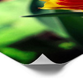 Blume mit Rot und Gelb Poster (Ecke)