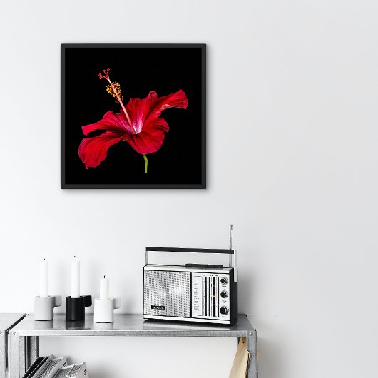 Blume mit rotem Hibiskus - Kleine Ansicht Poster