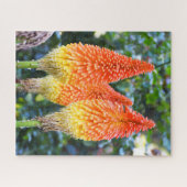 Blume mit rotem Poker Puzzle (Horizontal)