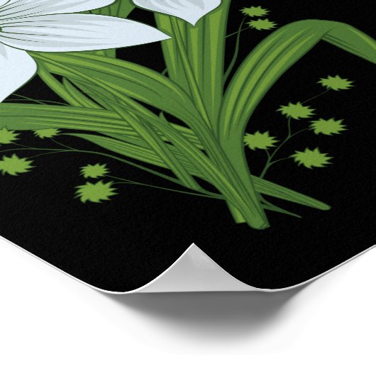 Blume mit schwarzem Hintergrund Poster (Ecke)