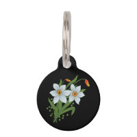 Blume mit schwarzem Hintergrund
